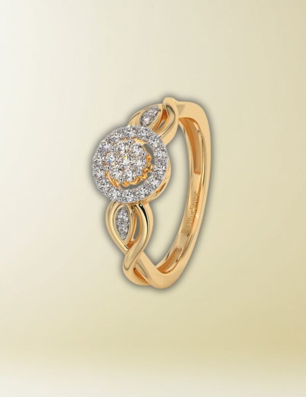 Discover the Features of the Alma Ring